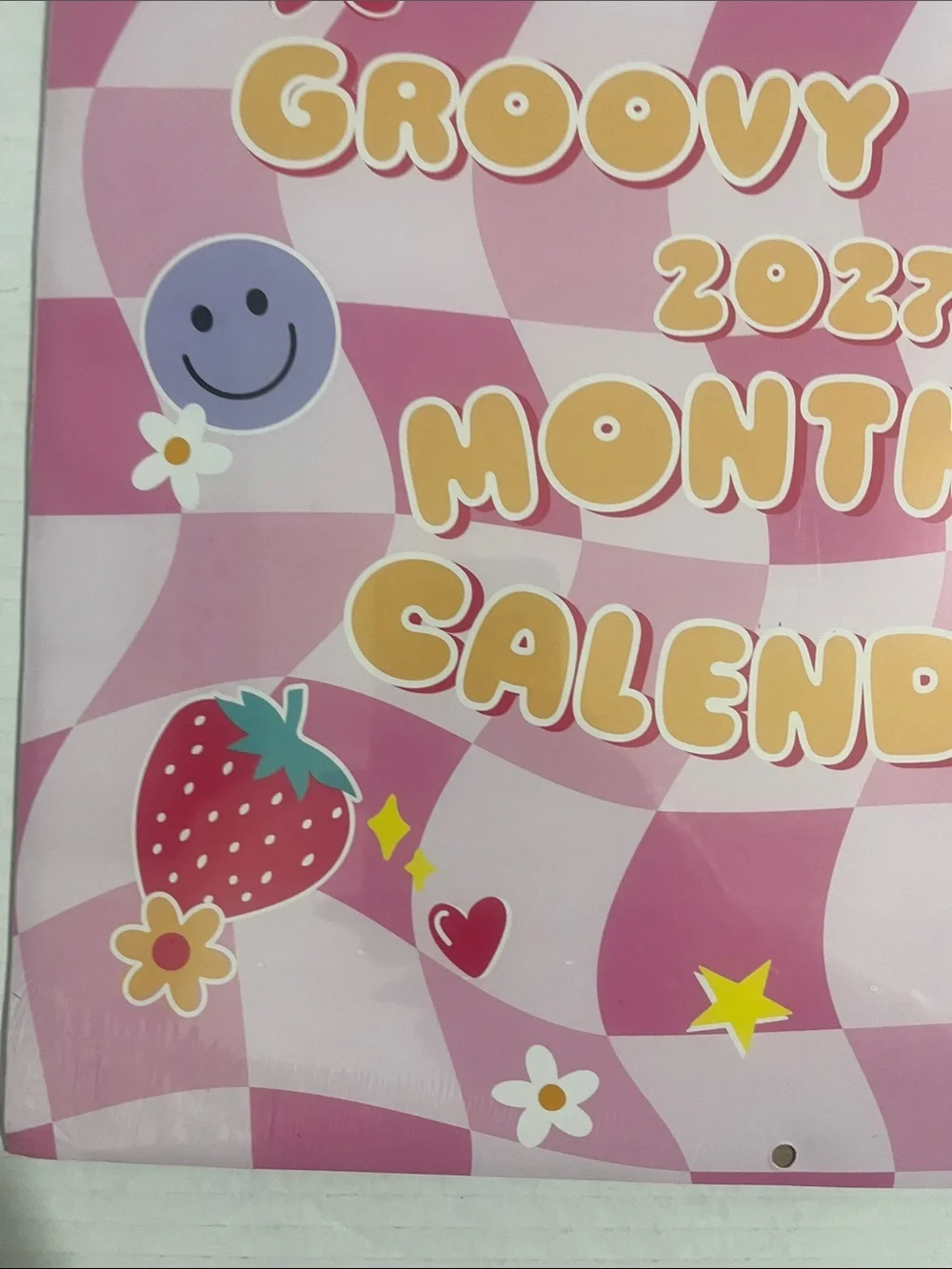 Groovy Times 2027 Monthly Calendar - Pink